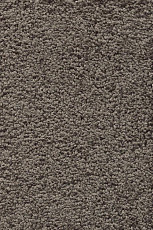 Ковролин AW Devotion 39 фото 1 | FLOORDEALER